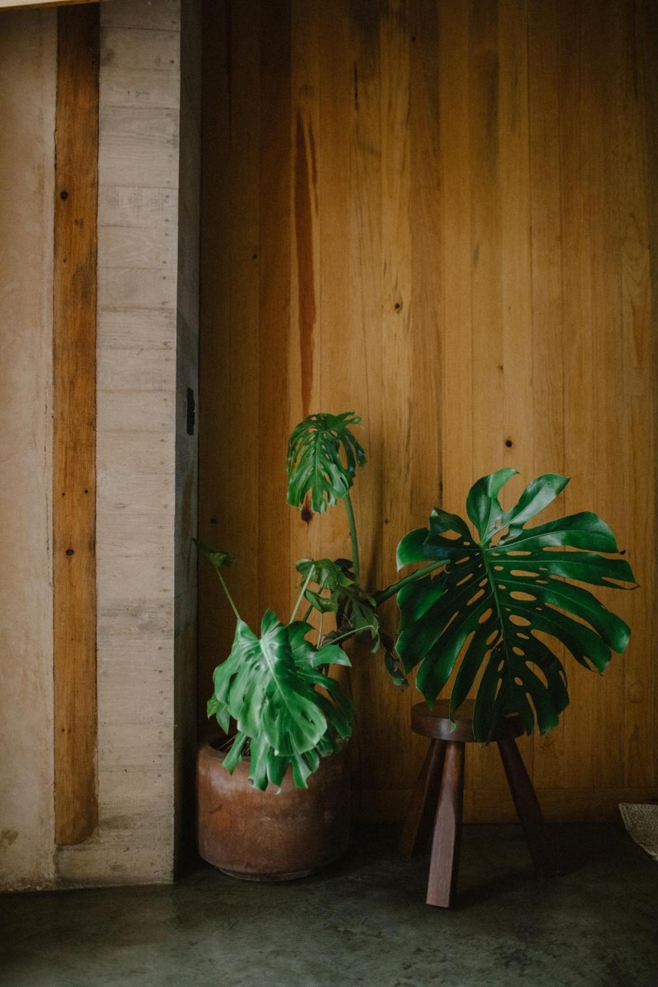 Hotel Escondido Oaxaca, A Member Of Design Hotels Luaran gambar
